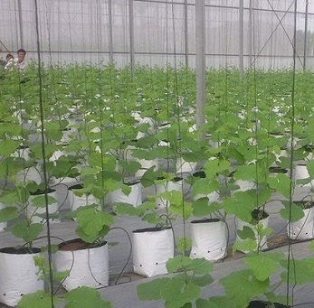 Túi PE 2 lớp trắng đen 17x33, 18x36, 20x40 loại 1 cao cấp - Ảnh 1